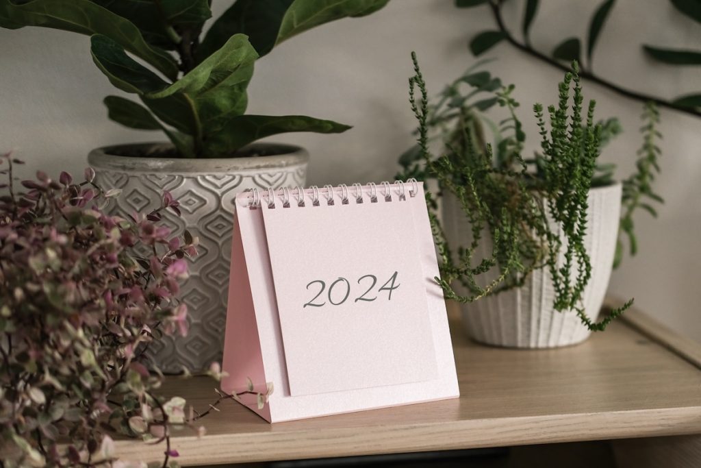 2024 calendar on shelf with house plants