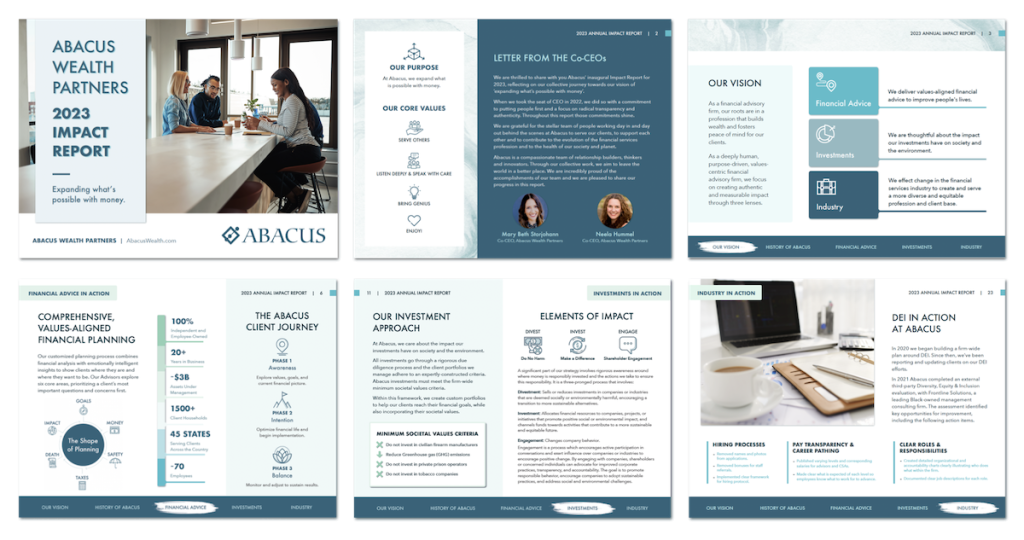 Impact Report Example